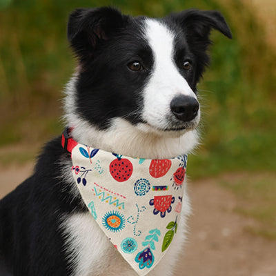 Bandana chien | SummerVibe