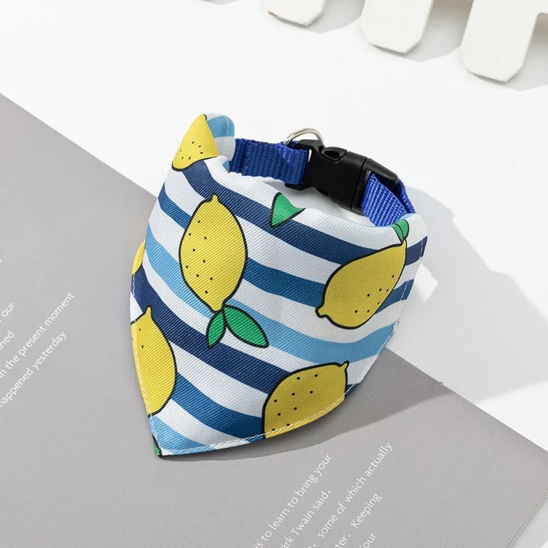 Bandana chien | SummerVibe - Les Plaisirs Canins