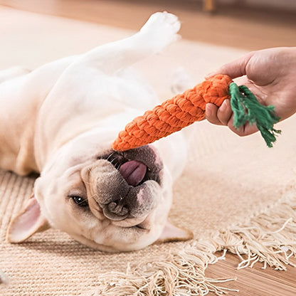 bouledogue-francais-jouet-indestructible-chien-carotte-tapis