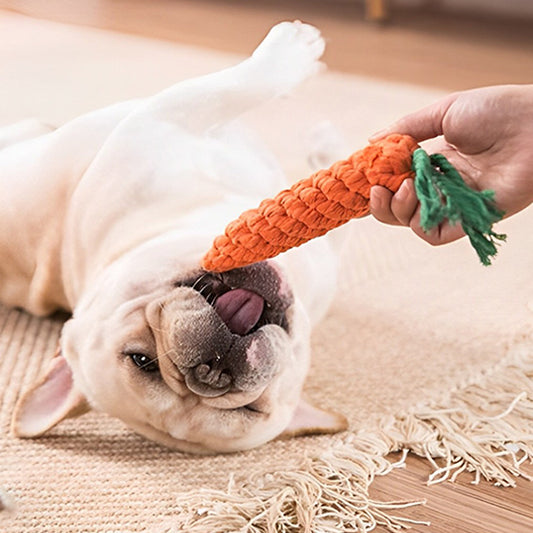 bouledogue-francais-jouet-indestructible-chien-carotte-tapis