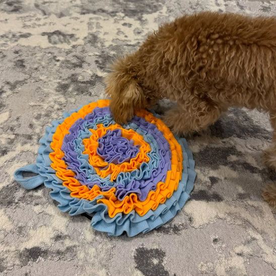 caniche-avec-son-tapis-de-fouille-chien-rond-bleu-orange-rose