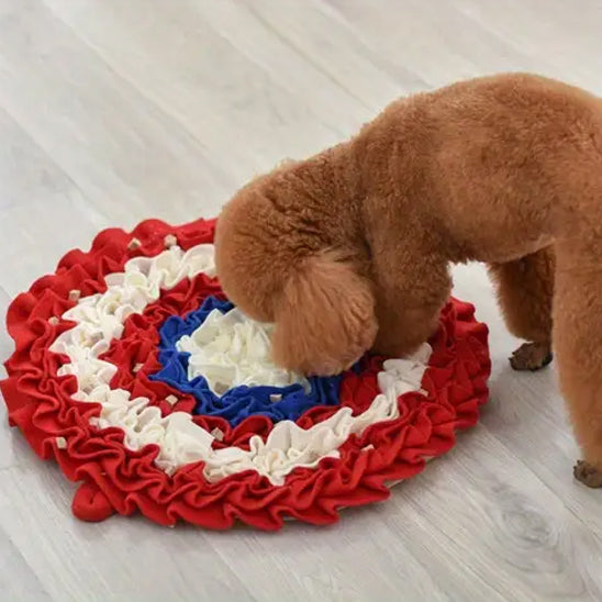 caniche-avec-son-tapis-de-fouille-chien-rond-rouge-blanc-bleu