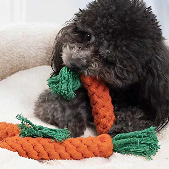 caniche-jouet-indestructible-chien-carotte-mache