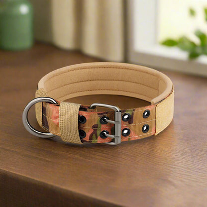 Collier chien | BigBoy - Les Plaisirs Canins