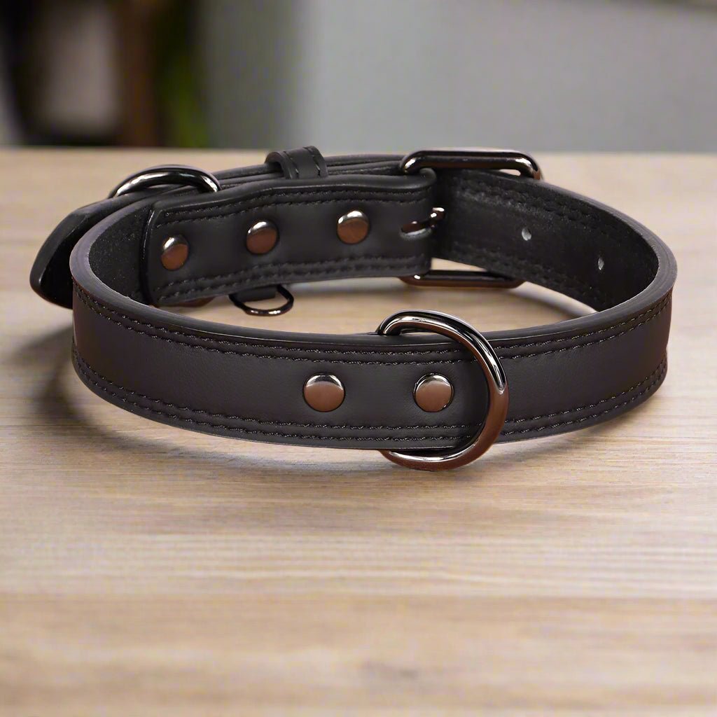 Collier chien cuir | BougyDoggy - Les Plaisirs Canins
