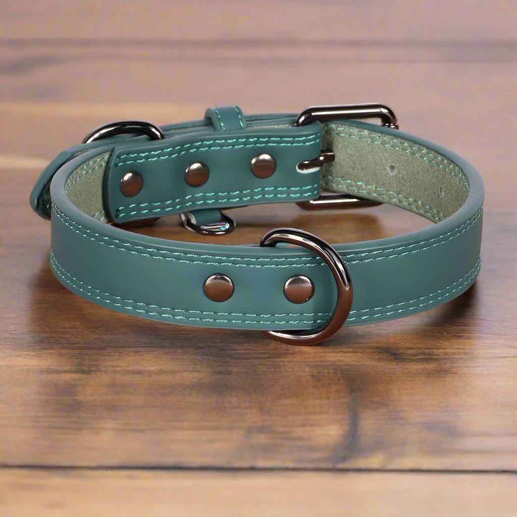 Collier chien cuir | BougyDoggy - Les Plaisirs Canins