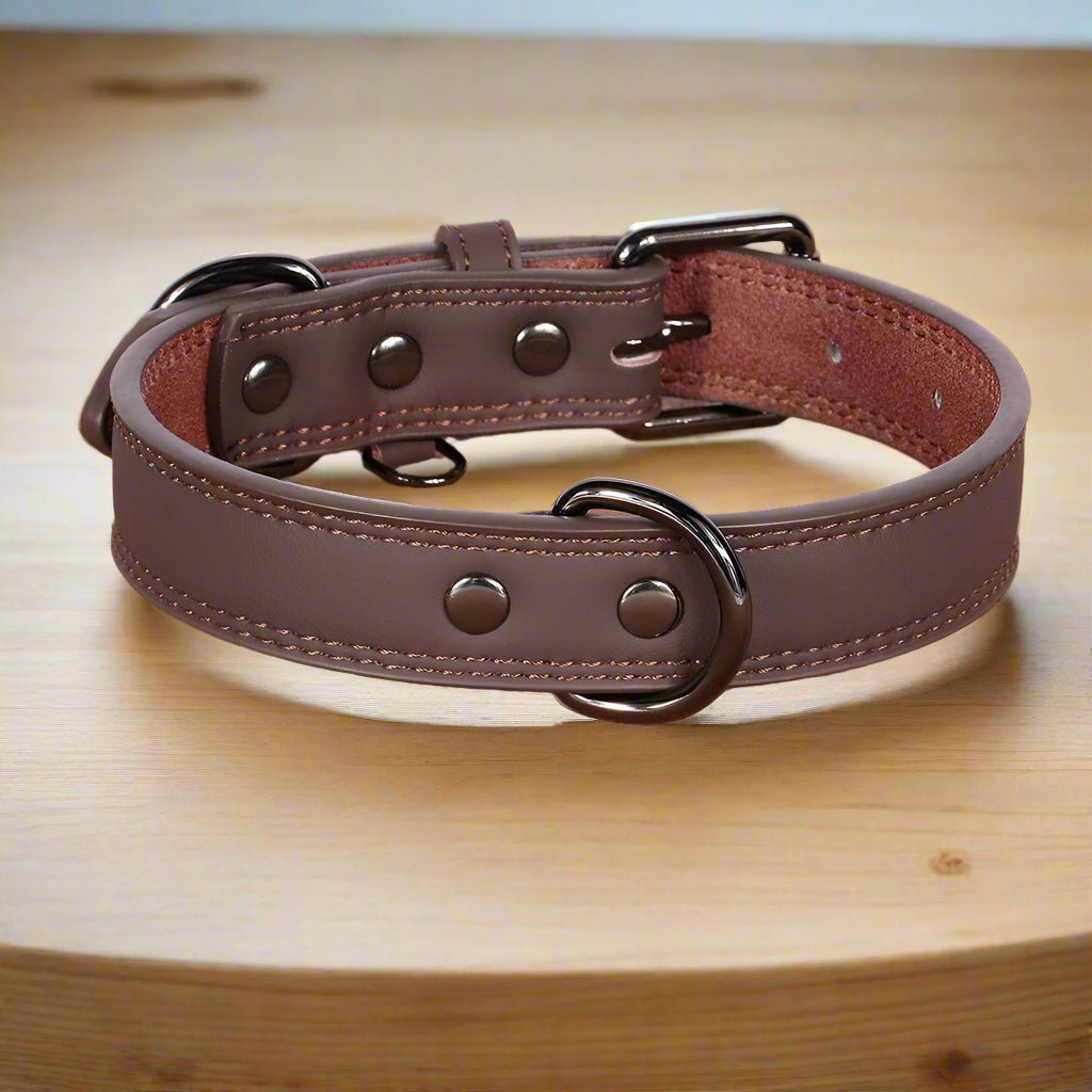 Collier chien cuir | BougyDoggy - Les Plaisirs Canins