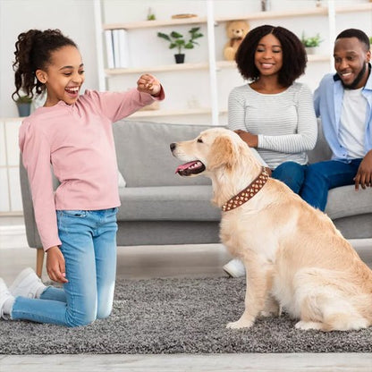 Collier chien cuir | ImABigDog - Les Plaisirs Canins