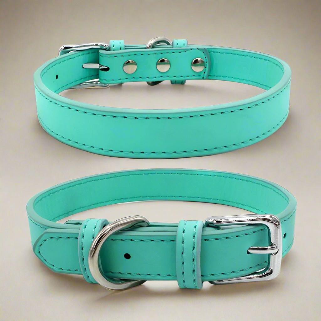 Collier chien cuir | LilCuirette - Les Plaisirs Canins