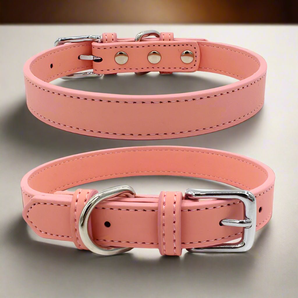 Collier chien cuir | LilCuirette - Les Plaisirs Canins