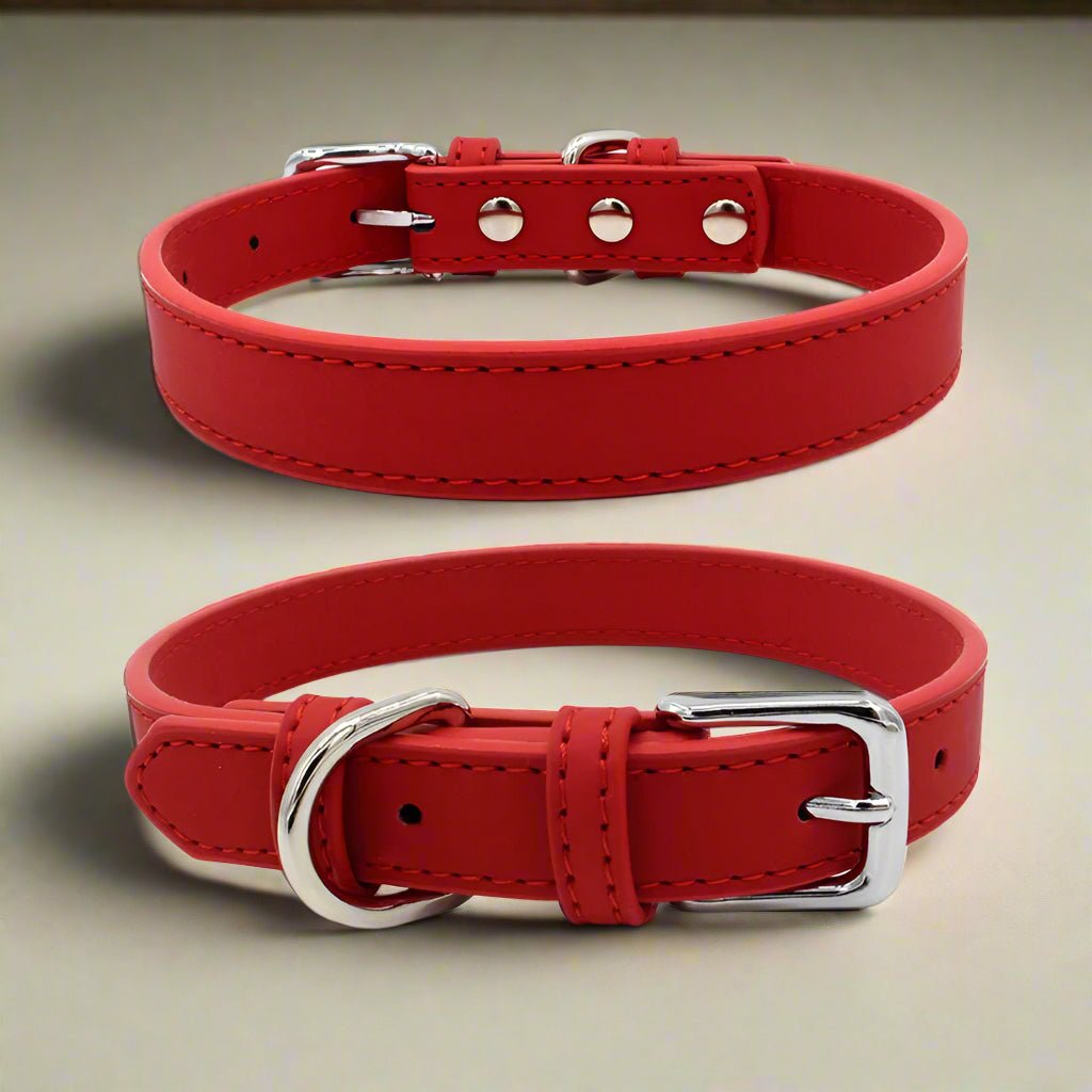 Collier chien cuir | LilCuirette - Les Plaisirs Canins