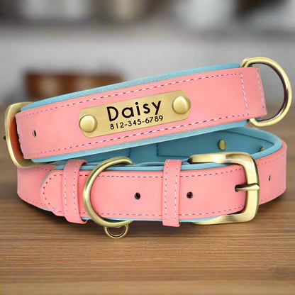 Collier chien personnalisé | CallMyName - Les Plaisirs Canins