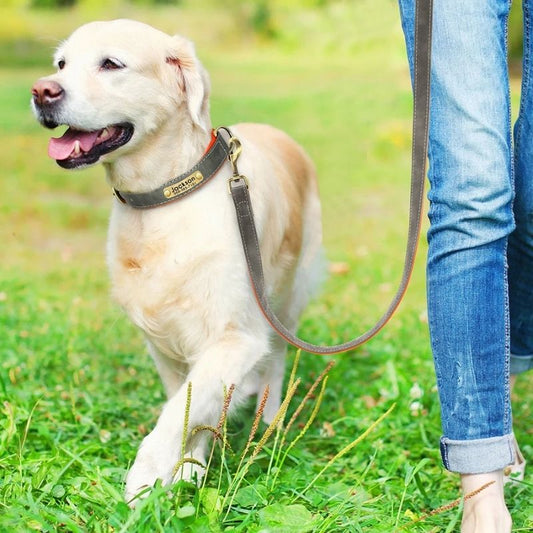 Collier chien personnalisé | CallMyName - Les Plaisirs Canins