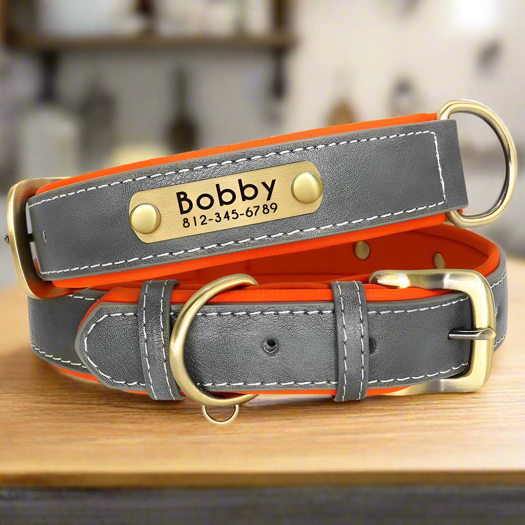 Collier chien personnalisé | CallMyName - Les Plaisirs Canins