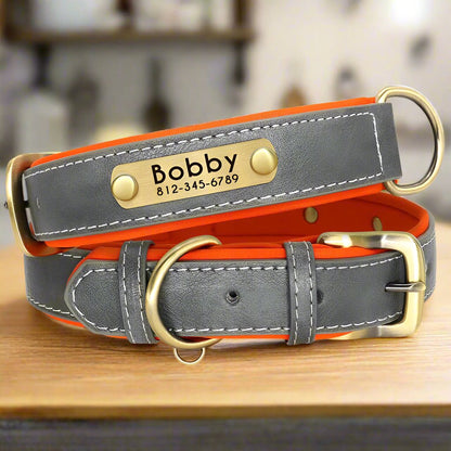 Collier chien personnalisé | CallMyName - Les Plaisirs Canins