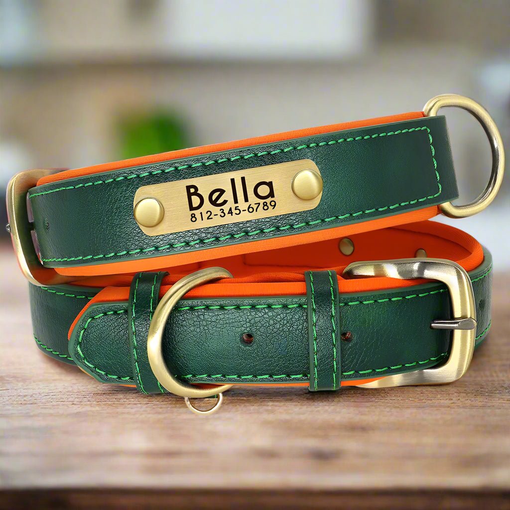 Collier chien personnalisé | CallMyName - Les Plaisirs Canins