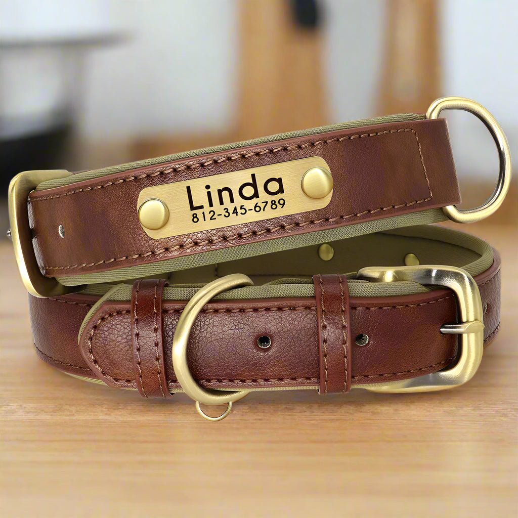Collier chien personnalisé | CallMyName - Les Plaisirs Canins