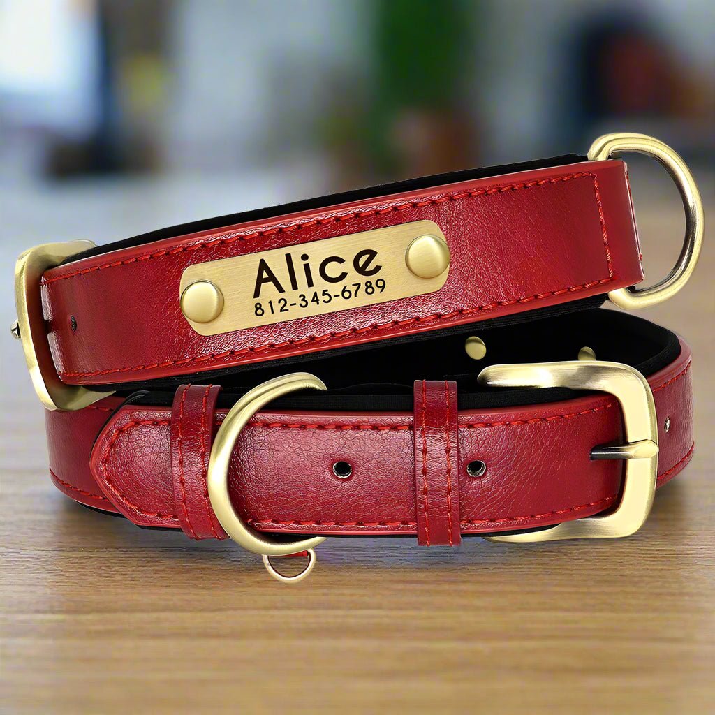 Collier chien personnalisé | CallMyName - Les Plaisirs Canins