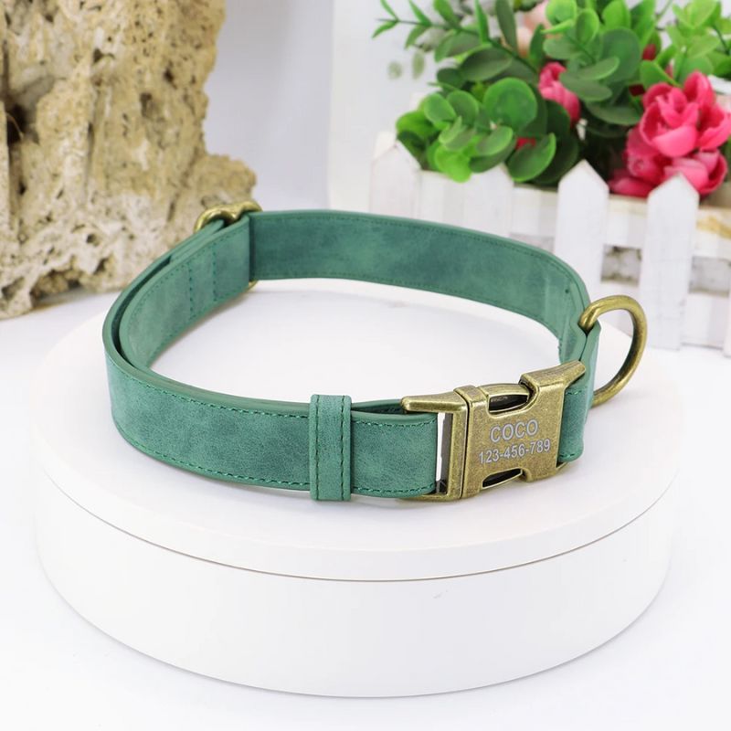 Collier chien personnalisé vert