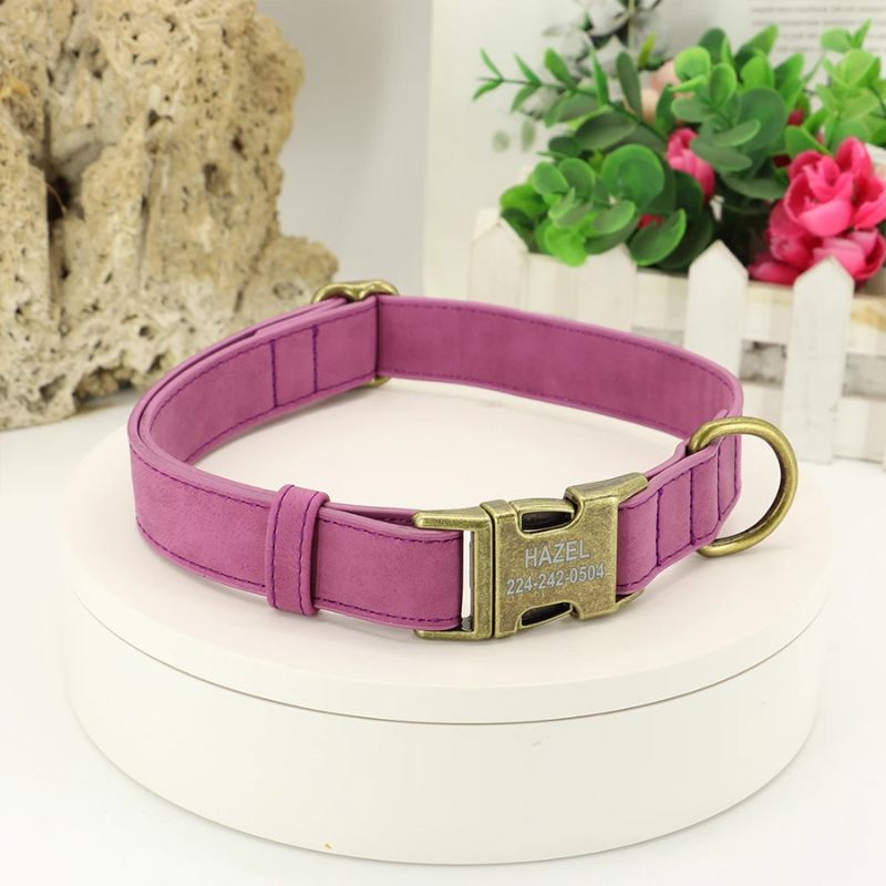 Collier chien personnalisé violet