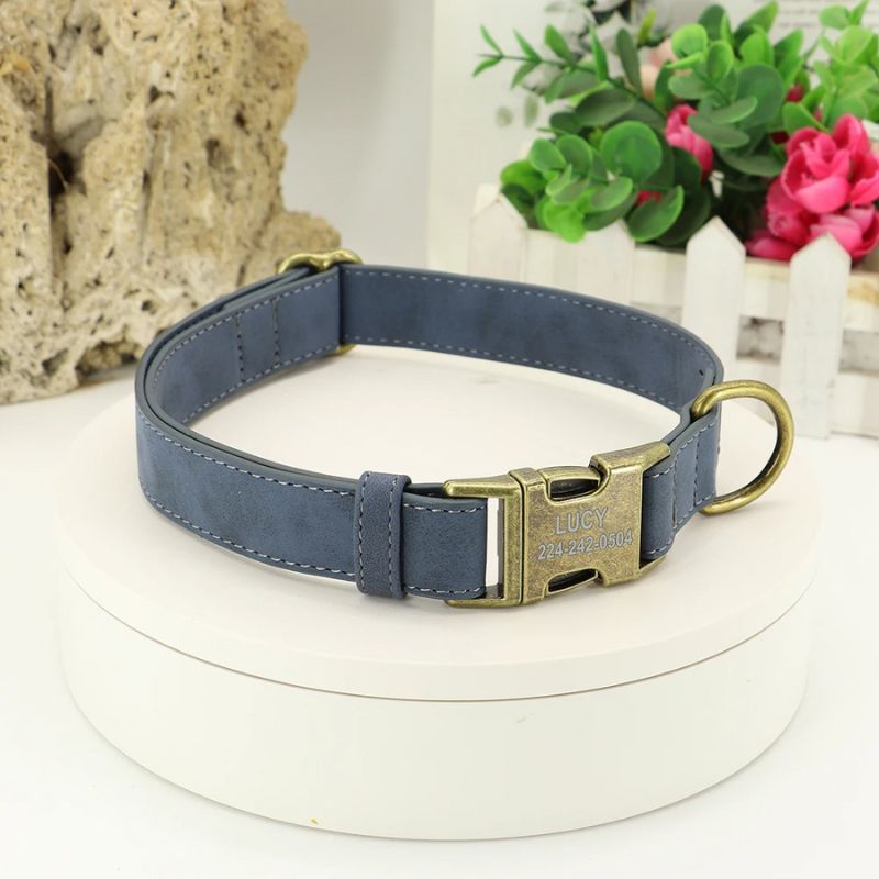 Collier chien personnalisé bleu