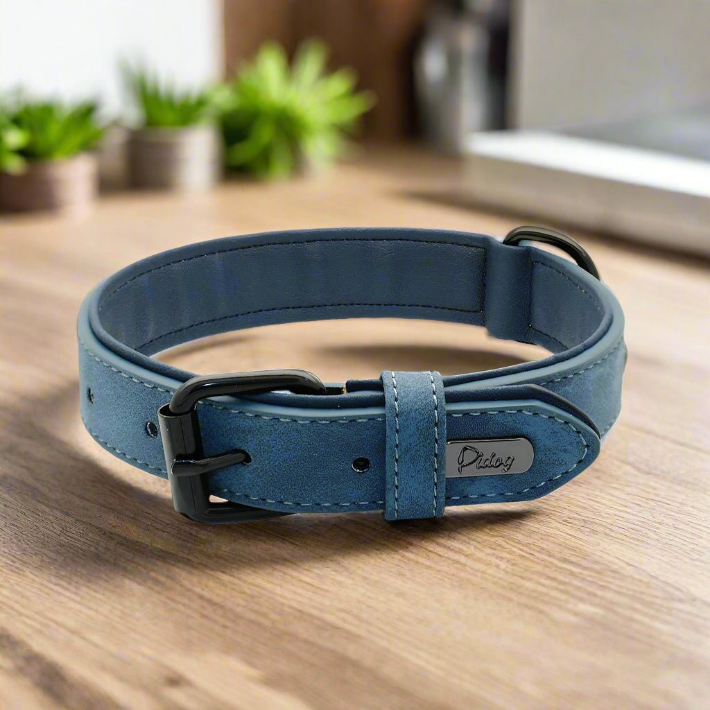 Collier chien | PrettyChic - Les Plaisirs Canins