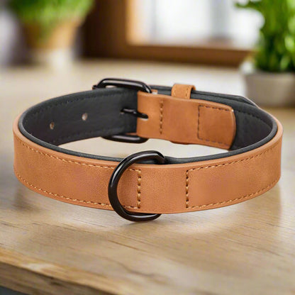 Collier chien | PrettyChic - Les Plaisirs Canins