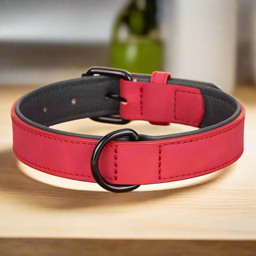 Collier chien | PrettyChic - Les Plaisirs Canins