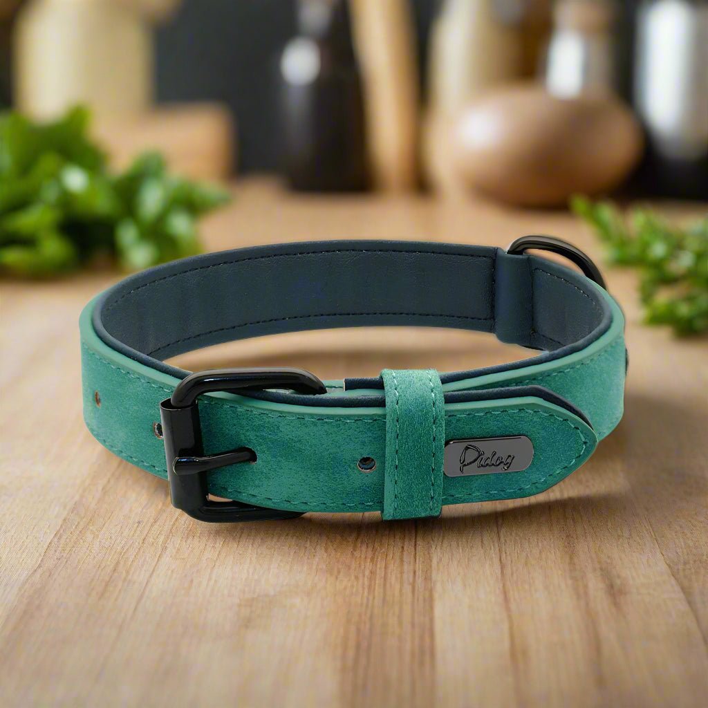 Collier chien | PrettyChic - Les Plaisirs Canins