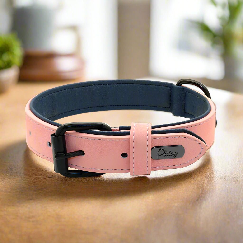 Collier chien | PrettyChic - Les Plaisirs Canins