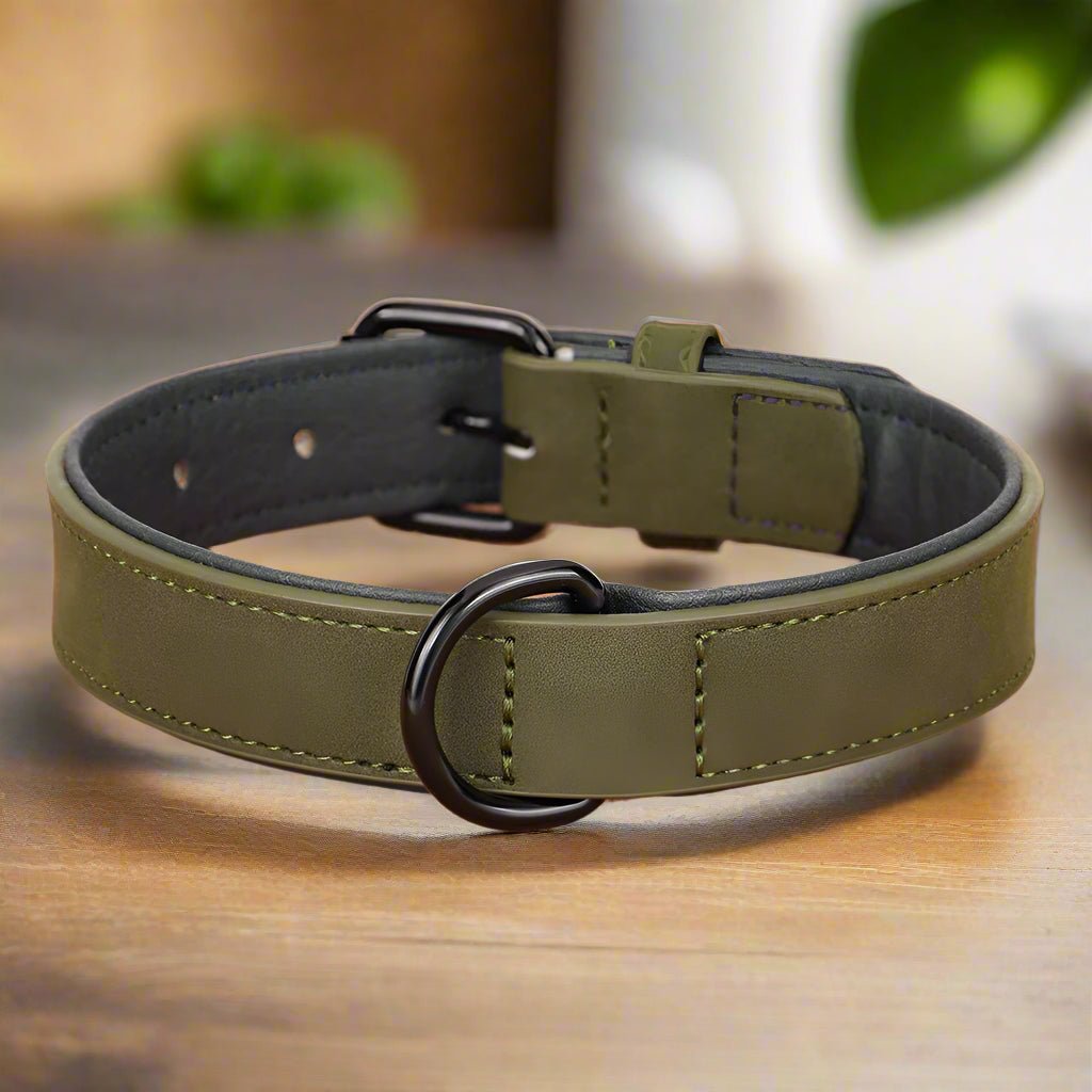 Collier chien | PrettyChic - Les Plaisirs Canins
