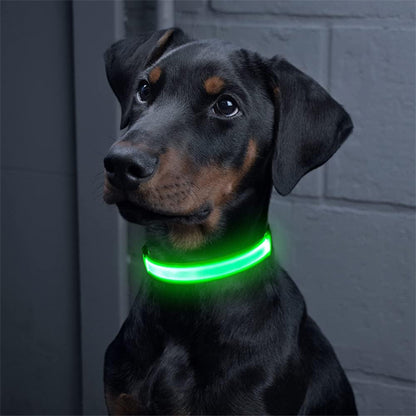 Doberman portant un collier lumineux chien vert assis dans un intérieur sombre