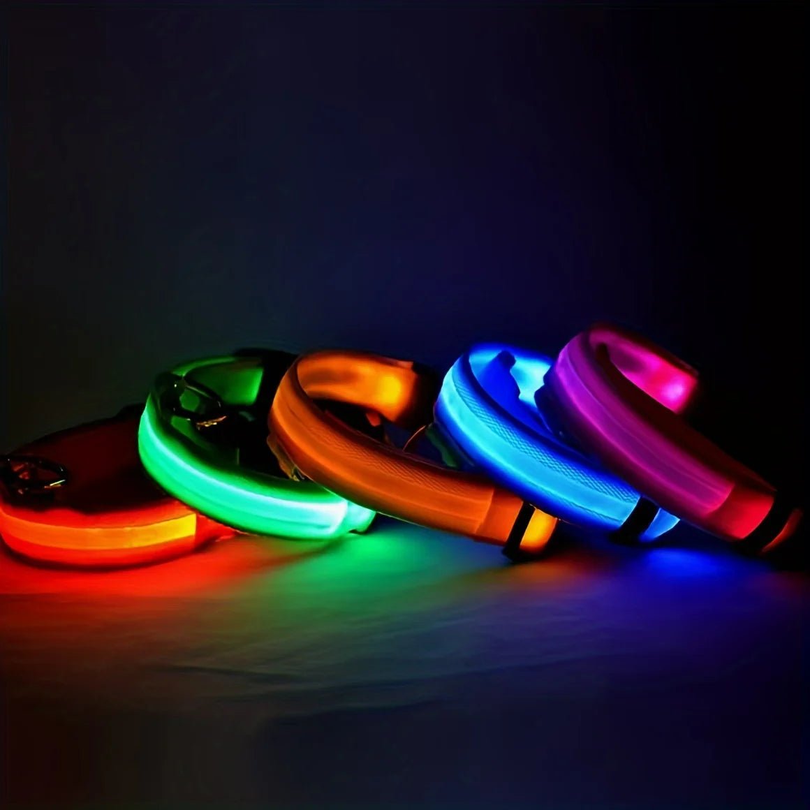 Collier lumineux chien | FlashyDoggy - Les Plaisirs Canins
