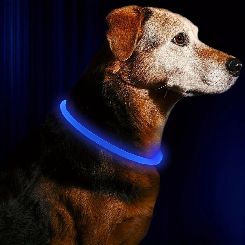 Collier lumineux chien | NoctureDog - Les Plaisirs Canins