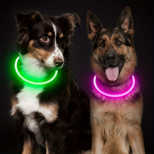 Collier lumineux chien | NoctureDog - Les Plaisirs Canins