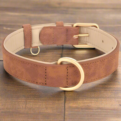 Collier pour chien | DoggyBeau - Les Plaisirs Canins