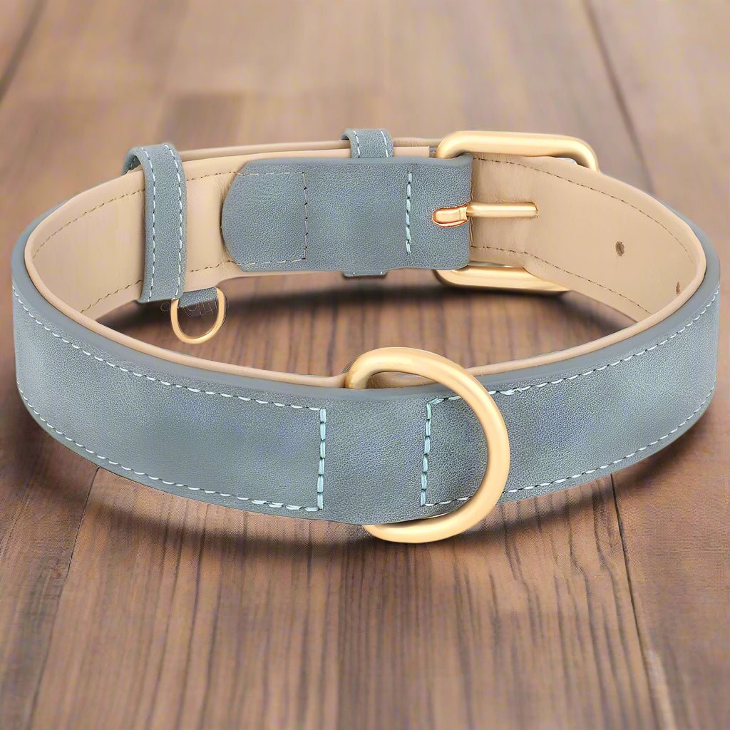 Collier pour chien | DoggyBeau - Les Plaisirs Canins
