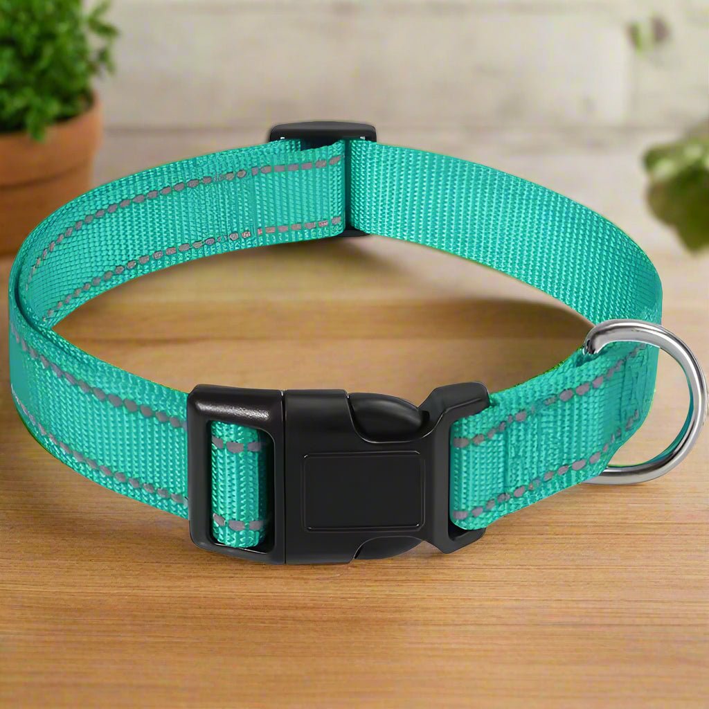 Collier pour chien | LilLumineux - Les Plaisirs Canins