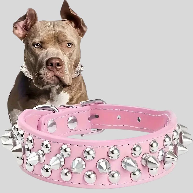 Collier pour chien | ToffDog - Les Plaisirs Canins