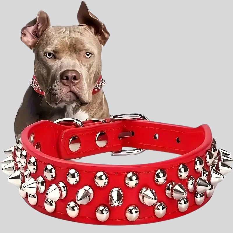 Collier pour chien | ToffDog - Les Plaisirs Canins