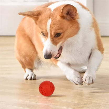 corgi-jouet-indestructible-chien-orange-au-sol