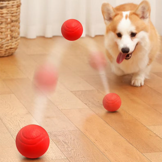 corgi-jouet-indestructible-chien-orange-en-rebond