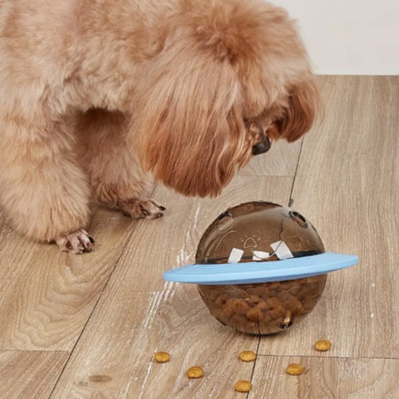 petit chien qui joue avec son distributeur de croquettes pour chien