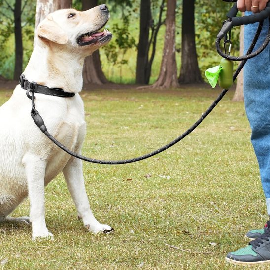 Labrador dehors avec son maitre et sa laisse pour chien en corde adaptée aux grands chiens au parc