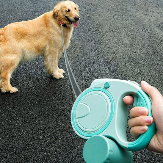 Golden en promenade avec sa laisse pour chien rétractable avec confort de prise en main