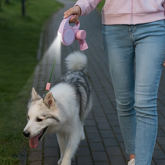 jeune husky en balade au parcavec sa laisse pour chien rétractable et avec une lumière