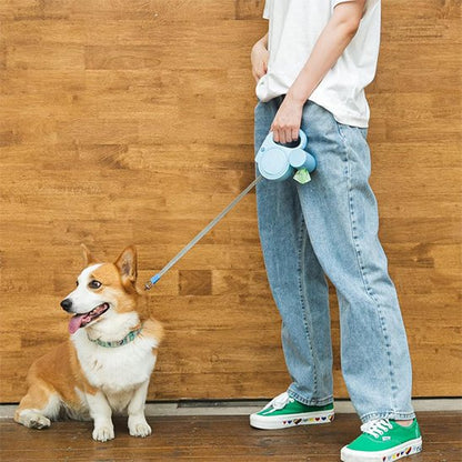 corgi en promenade avec sa laisse pour chien rétractable