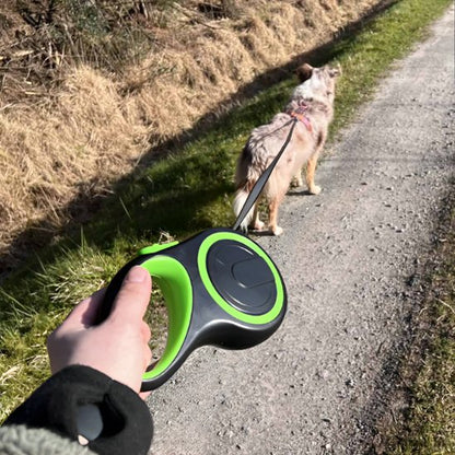 berger australien en promenade avec sa laisse pour chien rétractable verte, visibilité accrue en balade