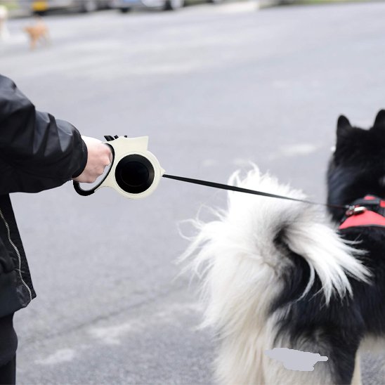 Husky en promenade avec sa laisse pour chien rétractable offrant une prise confortable