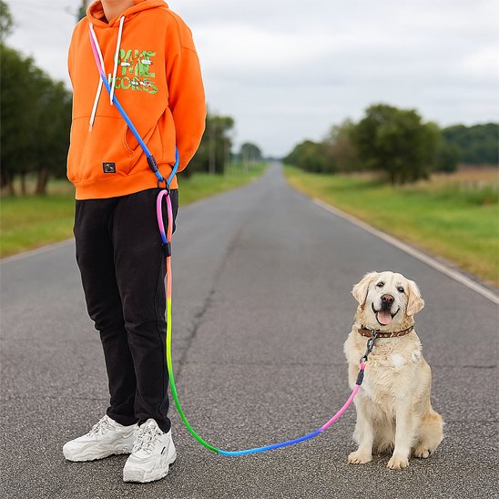 petit golden en promenade en campagne avec sa laisse pour chien mains libres